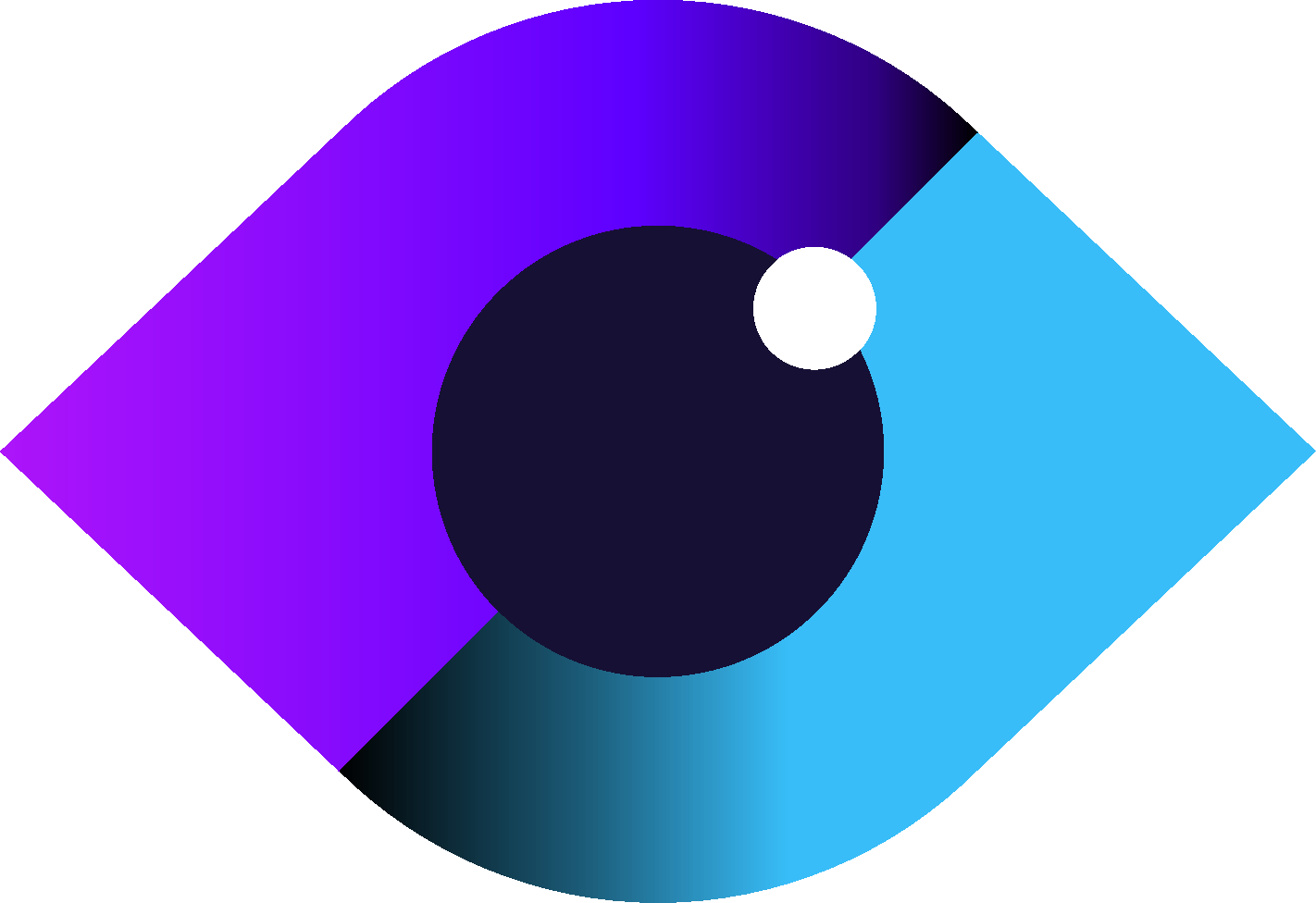 Vision